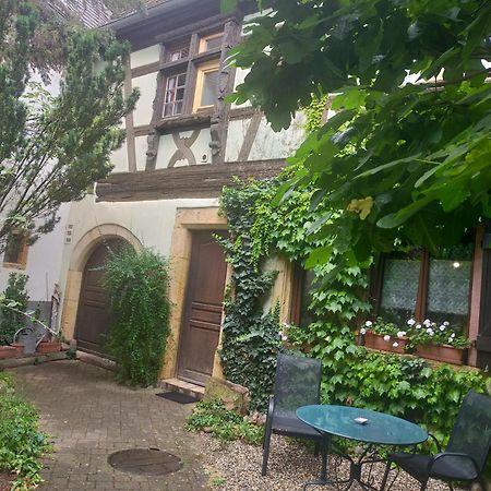 Apt. La Grenouillère De Turckheim Esterno foto