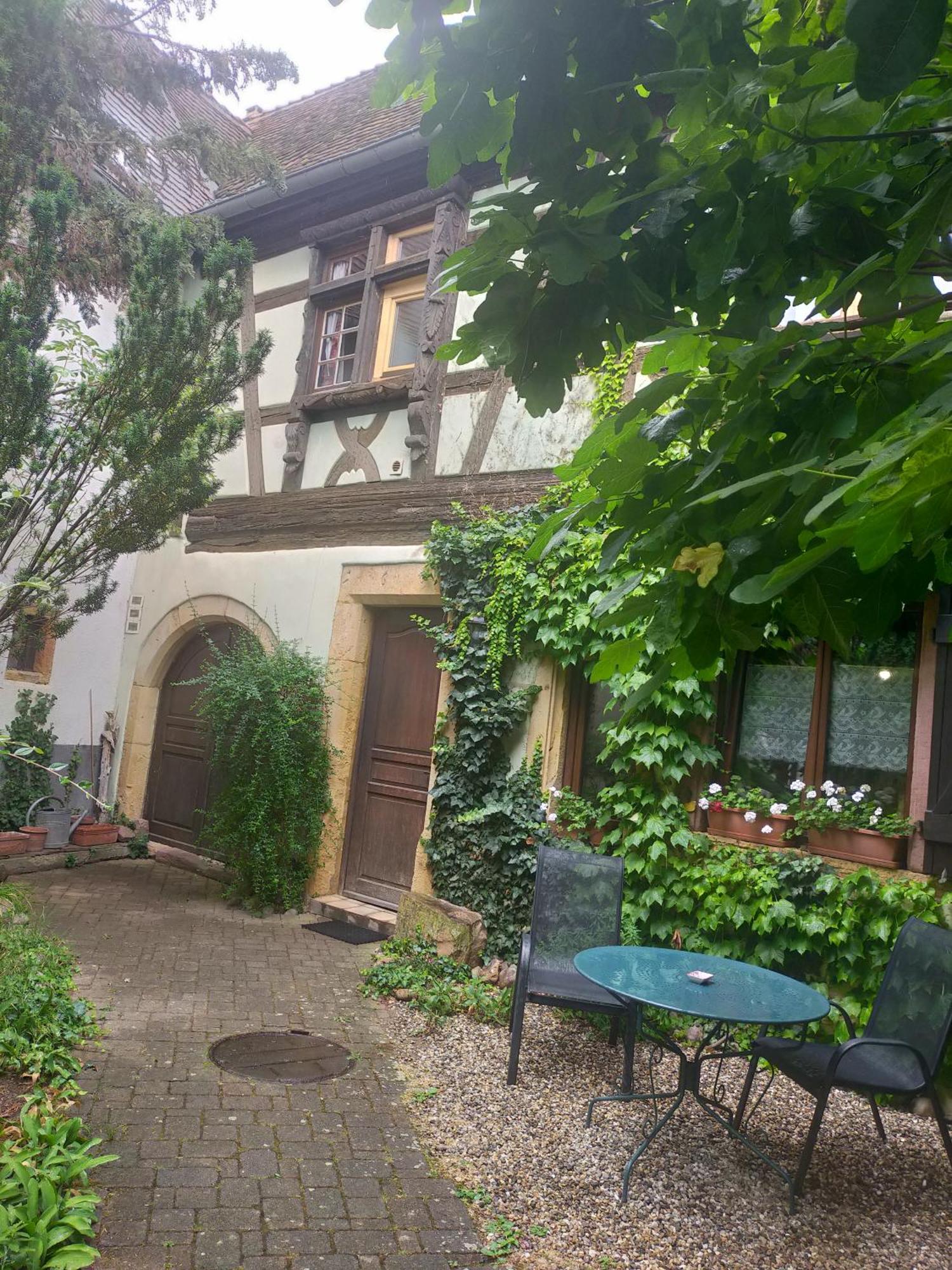 Apt. La Grenouillère De Turckheim Esterno foto