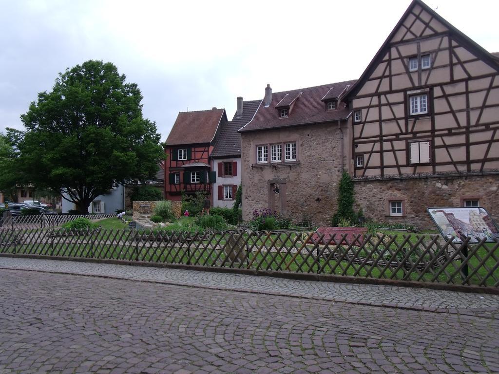 Apt. La Grenouillère De Turckheim Camera foto